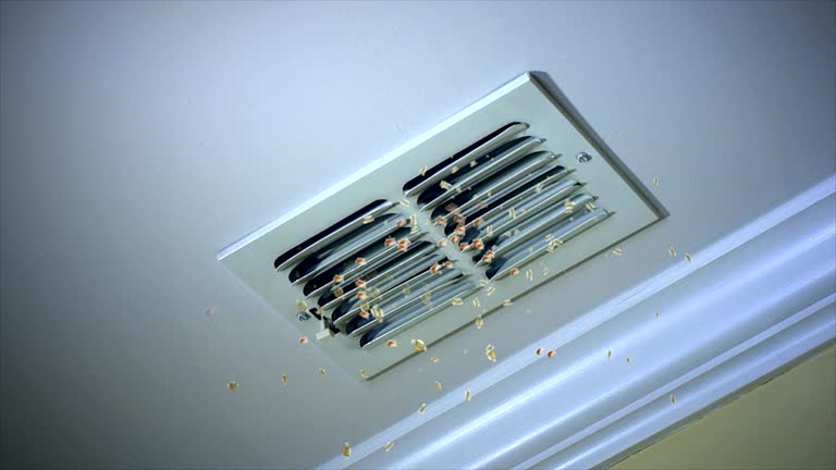 Best Commercial Air Duct Cleaning  in Toronto, OH