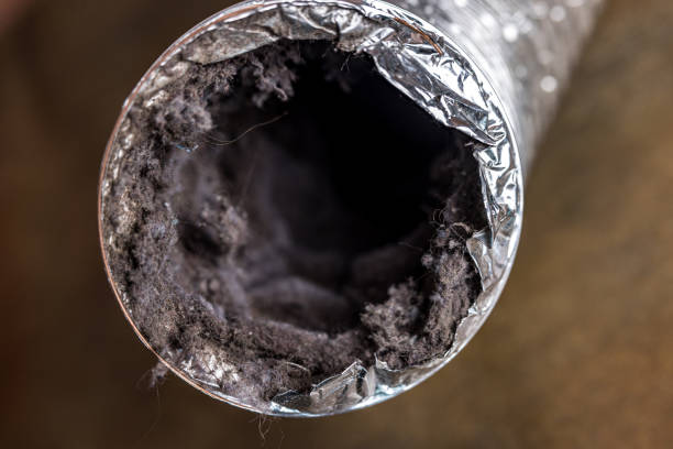 Best Residential Air Duct Cleaning  in Toronto, OH