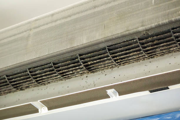 Best Dryer Vent Cleaning Services  in Toronto, OH